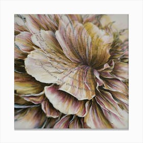 Chrysanthemum Canvas Print