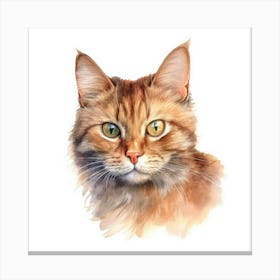 York Chocolate Cat Portrait Canvas Print