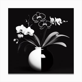 Black And White Orchids 1 Canvas Print