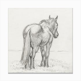 Standing Horse 4, Jean Bernard Canvas Print