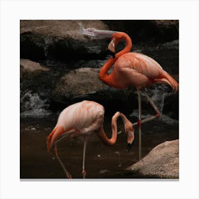 Flamingos Canvas Print