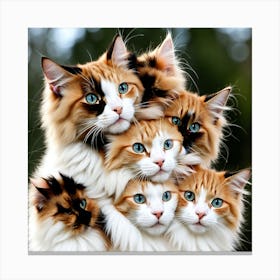 Group Of Cats Canvas Print