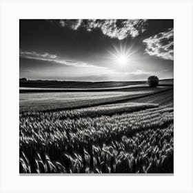 Black And White Photography 14 Canvas Print