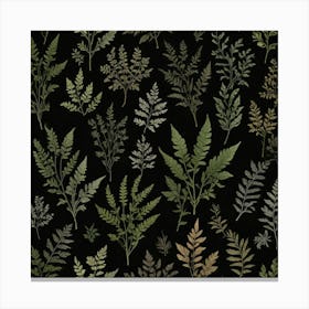 Ferns Canvas Print