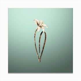 Gold Botanical Spofforth Zephyranthes Branch on Mint Green n.0231 Canvas Print