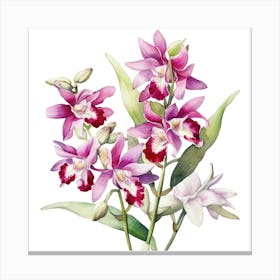 Spring Awakening Blooming Beautiful Orchids Canvas Print