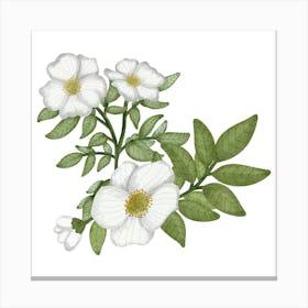 Wedding white flower Canvas Print