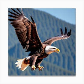 Bald Eagle In Flight Canvas Print