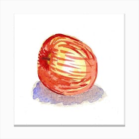 Watercolor Apple Canvas Print