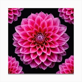 Vibrant pink dahlia flower 8 Canvas Print