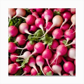 Radishes 7 Canvas Print