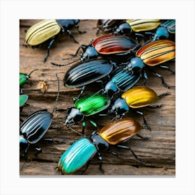 Beetles 1 Canvas Print