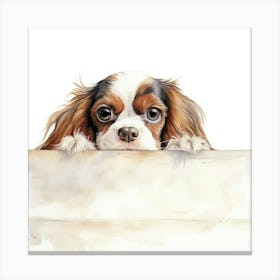 King Charles Spaniel 3 Canvas Print