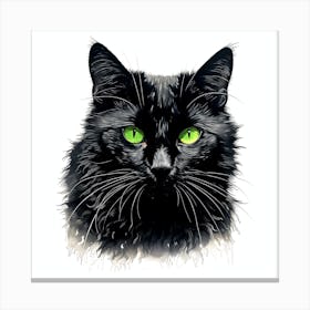 Black Cat With Green Eyes 2 Canvas Print