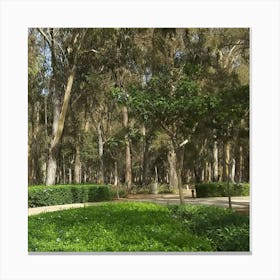 Walk In The Park Canvas Print