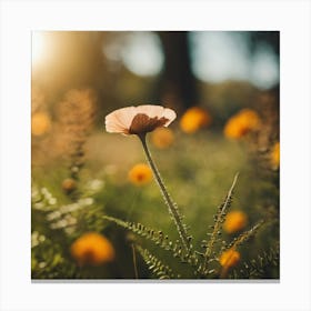 Flower In The Meadow Canvas Print