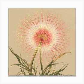 Chrysanthemum 4 Toile