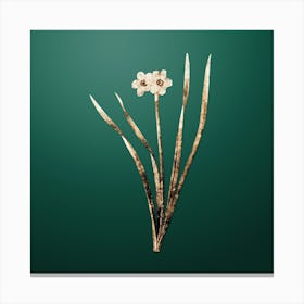 Gold Botanical Primrose Peerless on Dark Spring Green Canvas Print