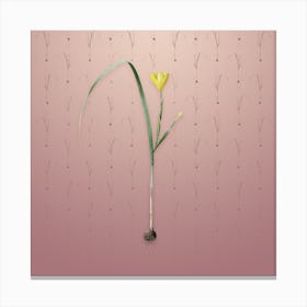 Vintage Cape Tulip Botanical on Dusty Pink Pattern n.1002 Canvas Print