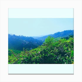 Green Mountain View Canvas Print