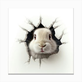 Rabbit Peeking Out Of A Hole Canvas Print