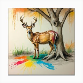 Deer! 56 Canvas Print