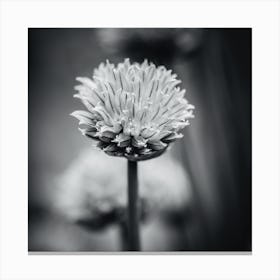 All Alone With My Thoughts Black And White Canvas Print