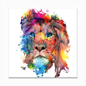 Lion Square Canvas Print