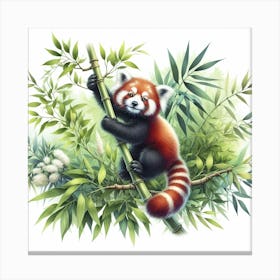 Red Panda 1 Canvas Print