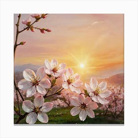 Cherry Blossoms At Sunset Canvas Print