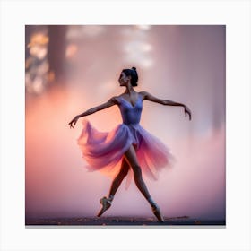 Ballerina In The Fog Canvas Print