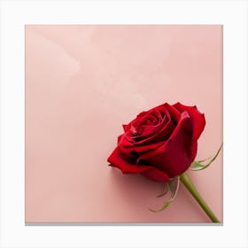 Red Rose On Pink Background Canvas Print