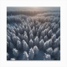 Aerial View Of Snowy Forest 11 Canvas Print