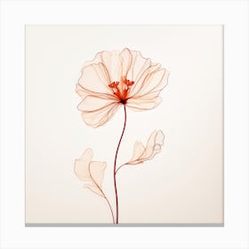 Poppy Flower 6 Canvas Print