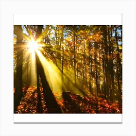 Autumn Forest Canvas Print