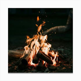 Bonfire Canvas Print