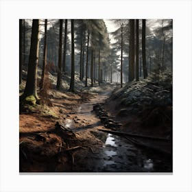 Path In The Woods Canvas Print