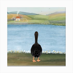 Duck Square Canvas Print