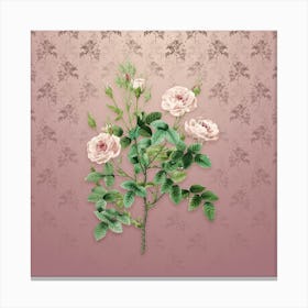 Vintage Rosier Pompon Botanical on Dusty Pink Pattern Canvas Print