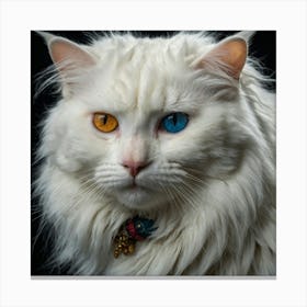 White Cat With Blue Eyes Canvas Print