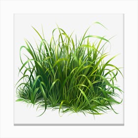 Watercolor-Spring-Grass-Clipart. Oliviaarts.13 Canvas Print