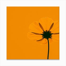 Single Yellow Flower Canvas Print