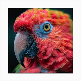 Parrot 20 Canvas Print