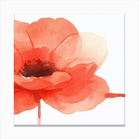 Red Poppy Watercolor Painting Canvas Print