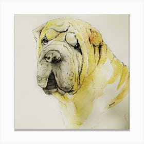 Shar-Pei Canvas Print