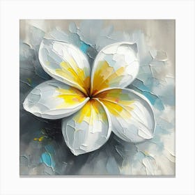 Frangipani Flower 2 Canvas Print