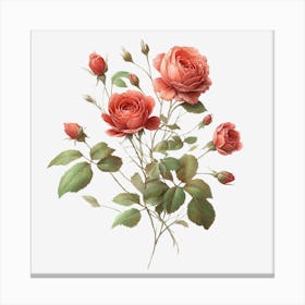 Rose Flower Canvas Print