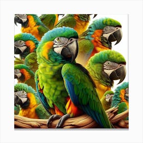 Parrots Canvas Print