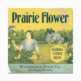 Prairie Flower Citrus Label (1930 1950) Canvas Print