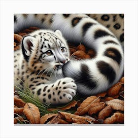 Snow Leopard Cub Canvas Print